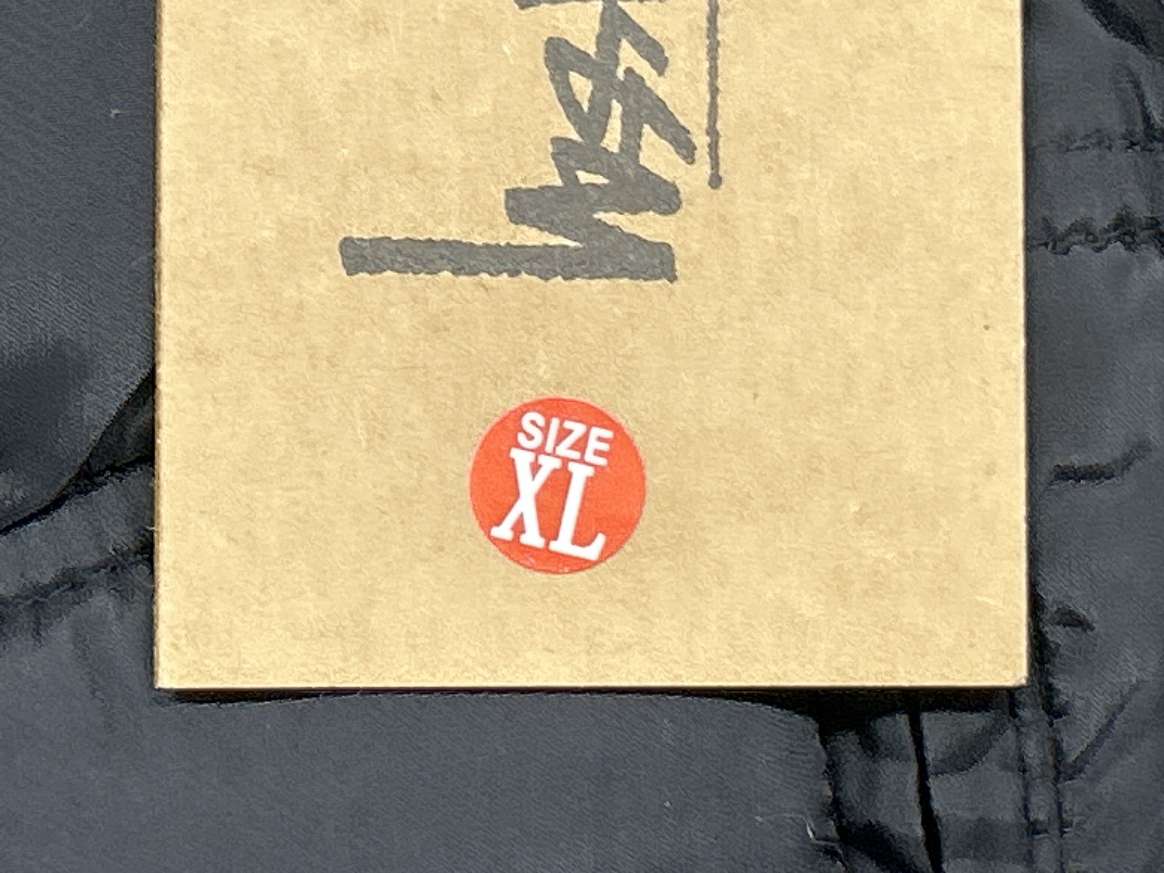 QC Photo - Black vest coat 9456