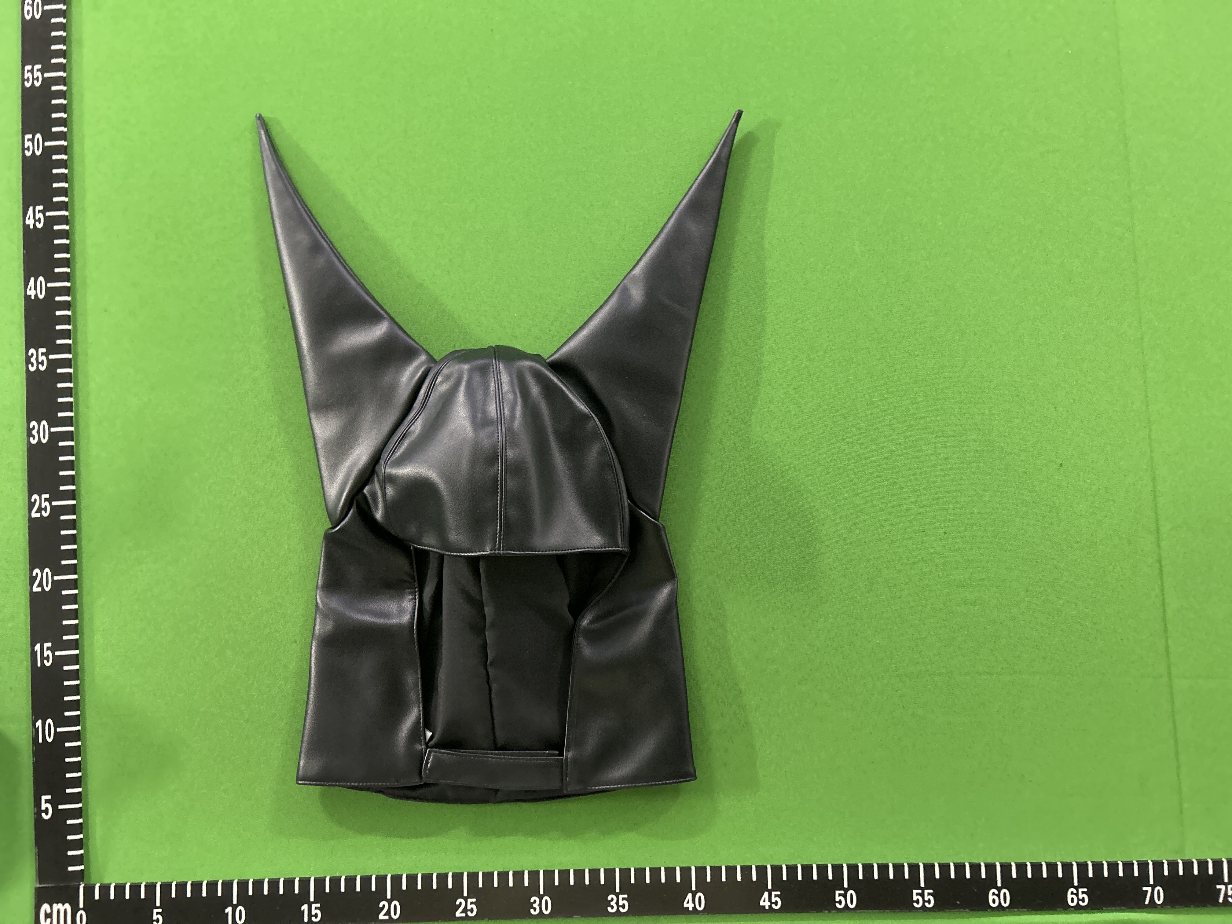 QC Photo - Anonymous Club Leather Dunce Cap