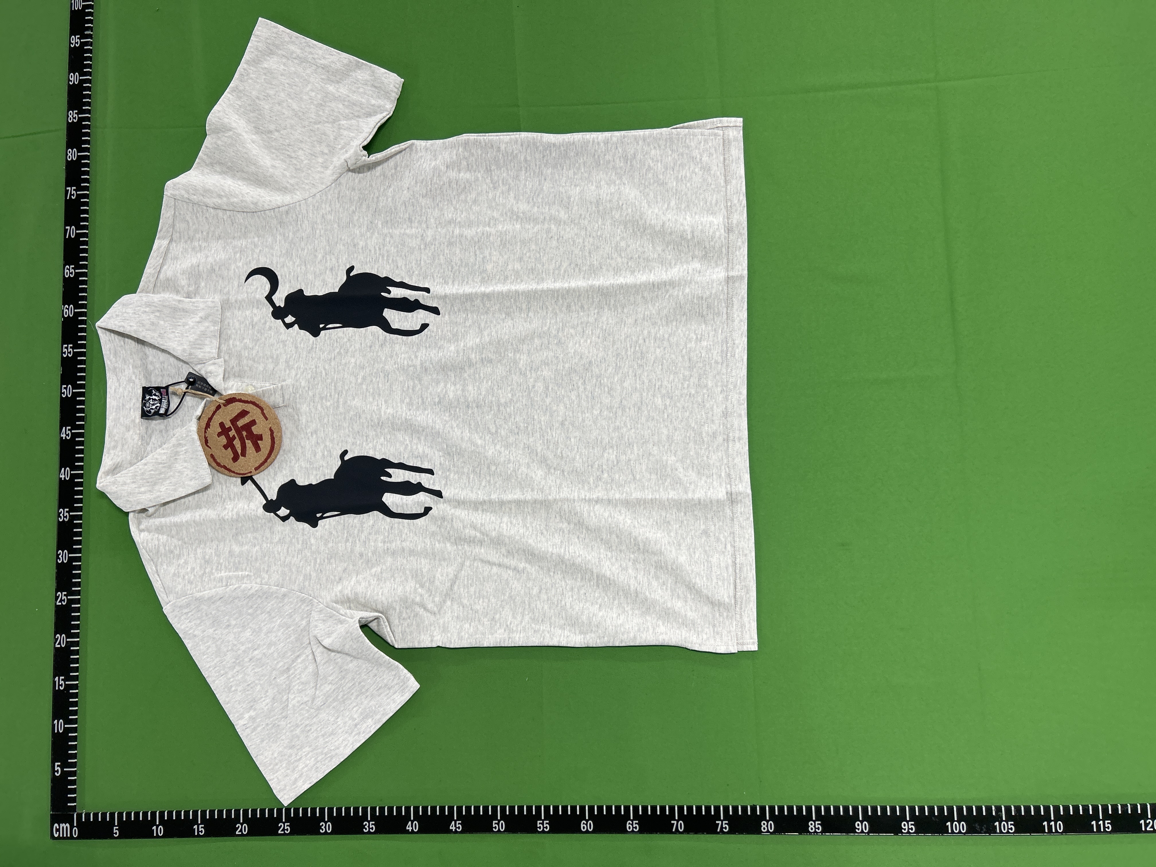 QC Photo - Hammer and Sickle Horse Polo