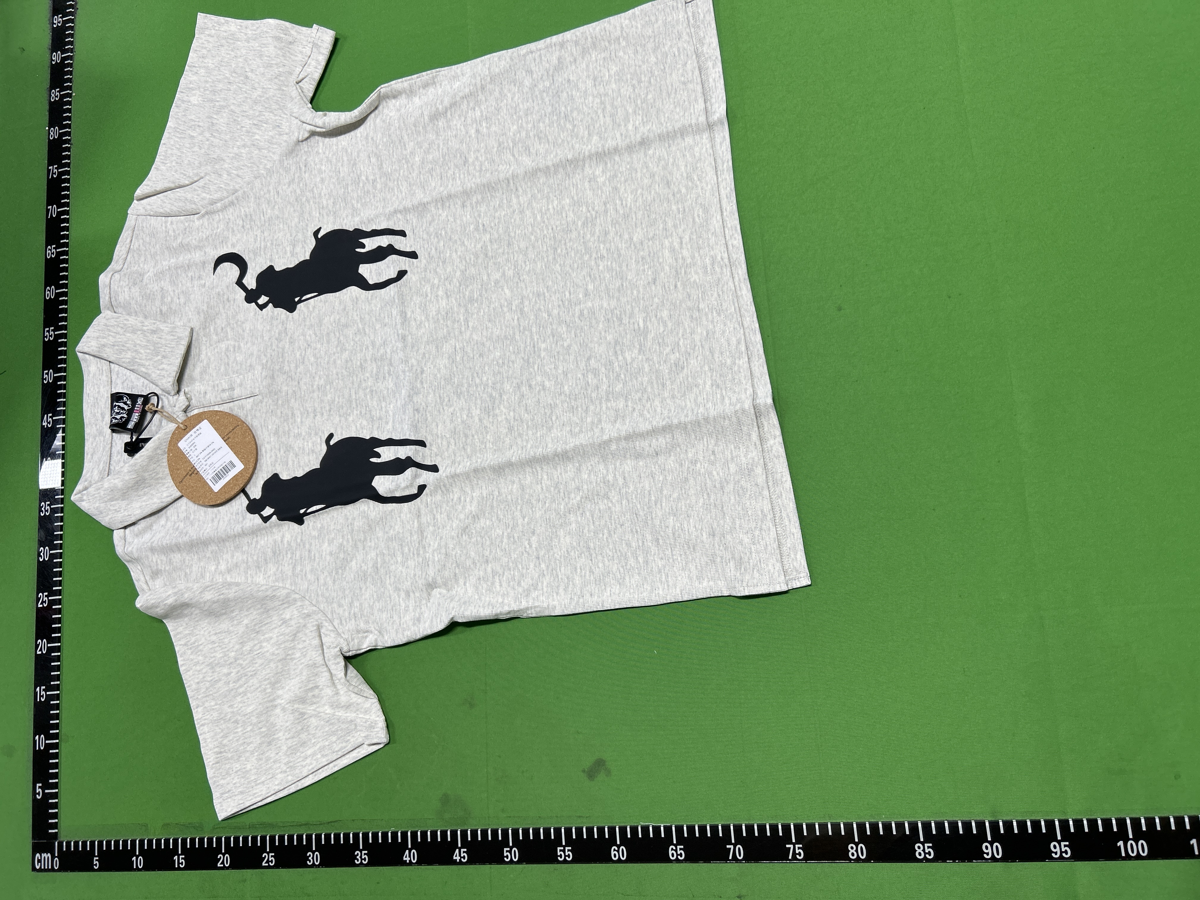 QC Photo - Hammer and Sickle Horse Polo