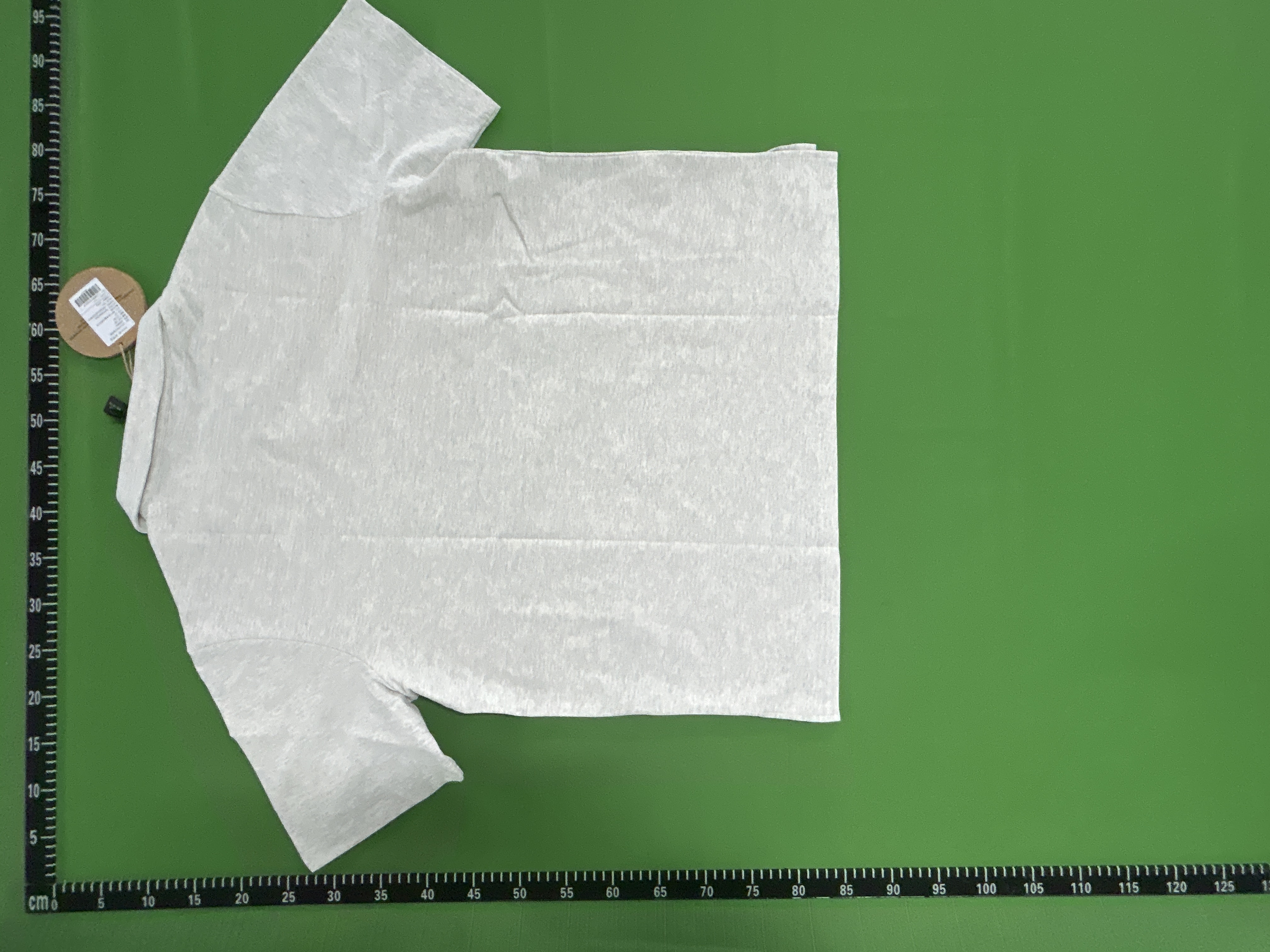 QC Photo - Hammer and Sickle Horse Polo