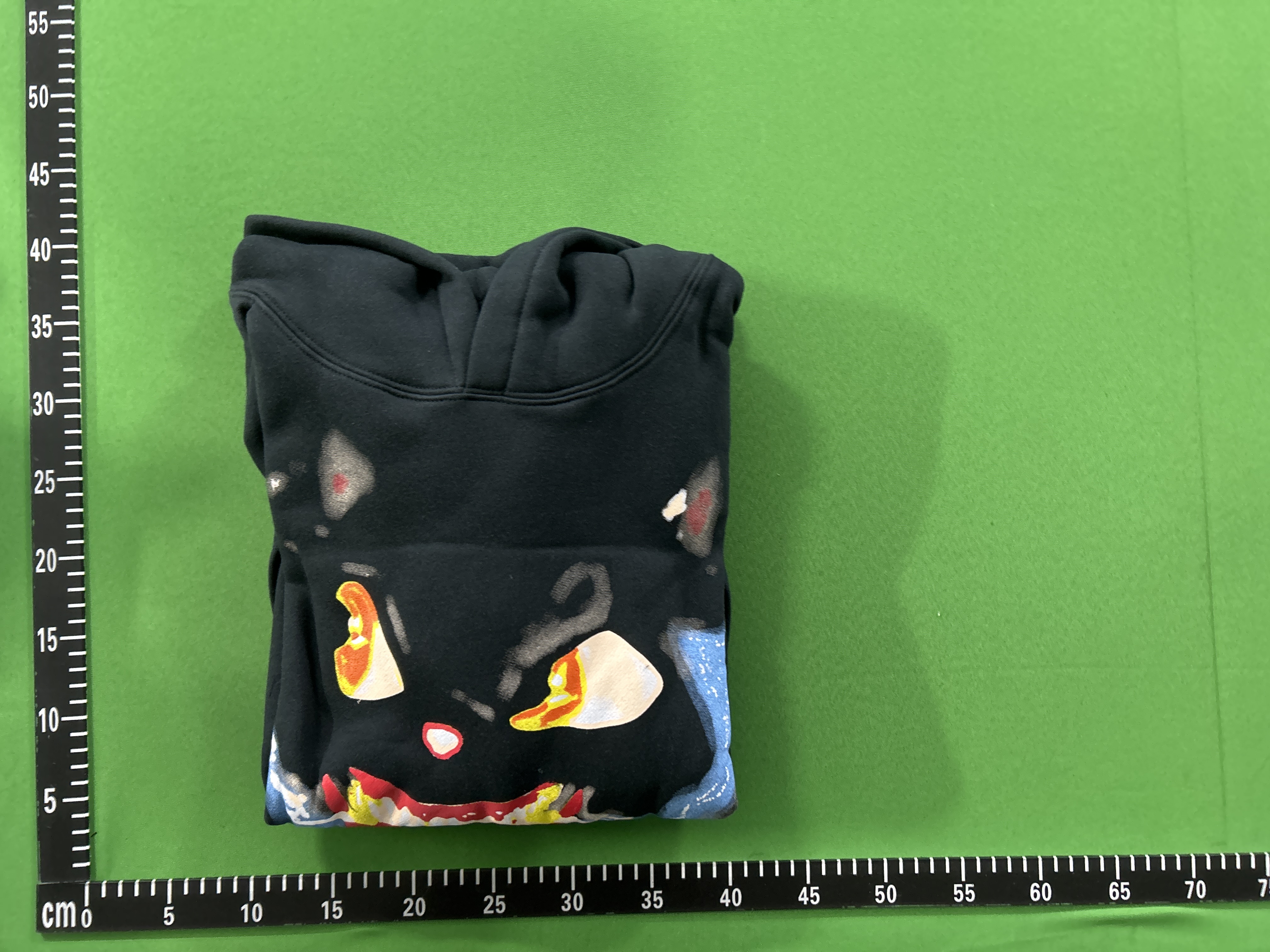 QC Photo - Destroy Lonely No Stylist Hoodie