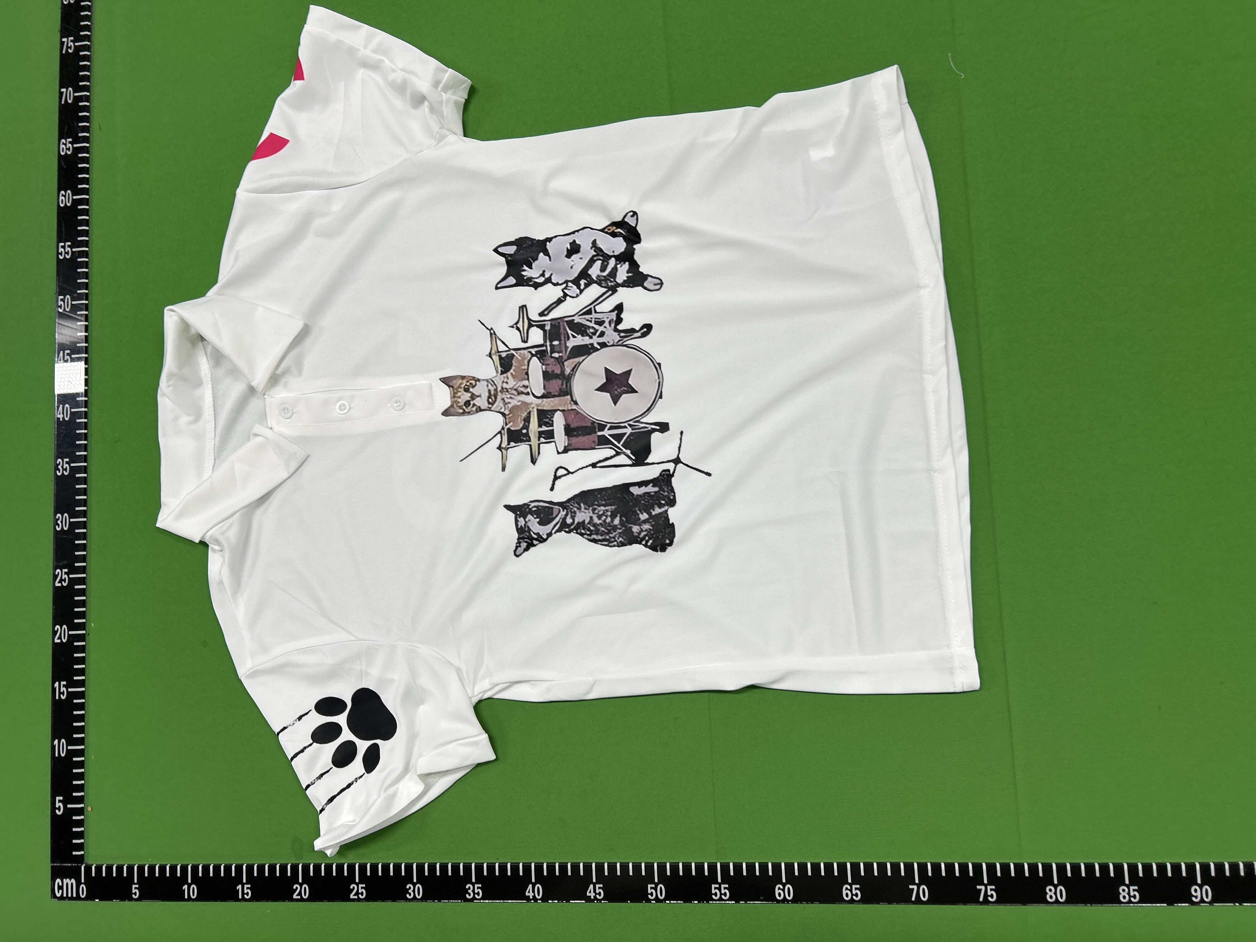 QC Photo - Cat Polo