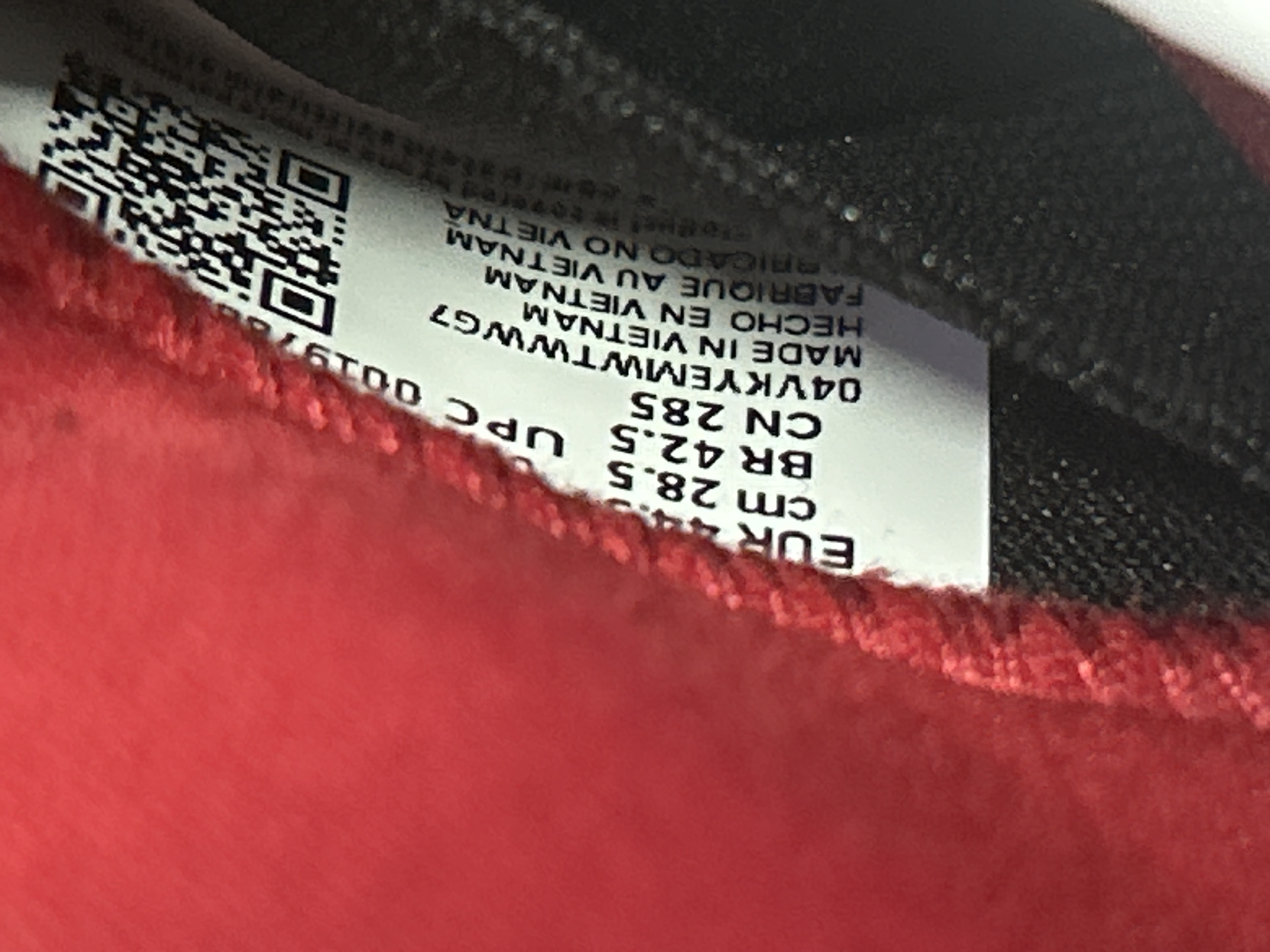 QC Photo - Nike SB Dunk Low Grateful Dead Bears Green