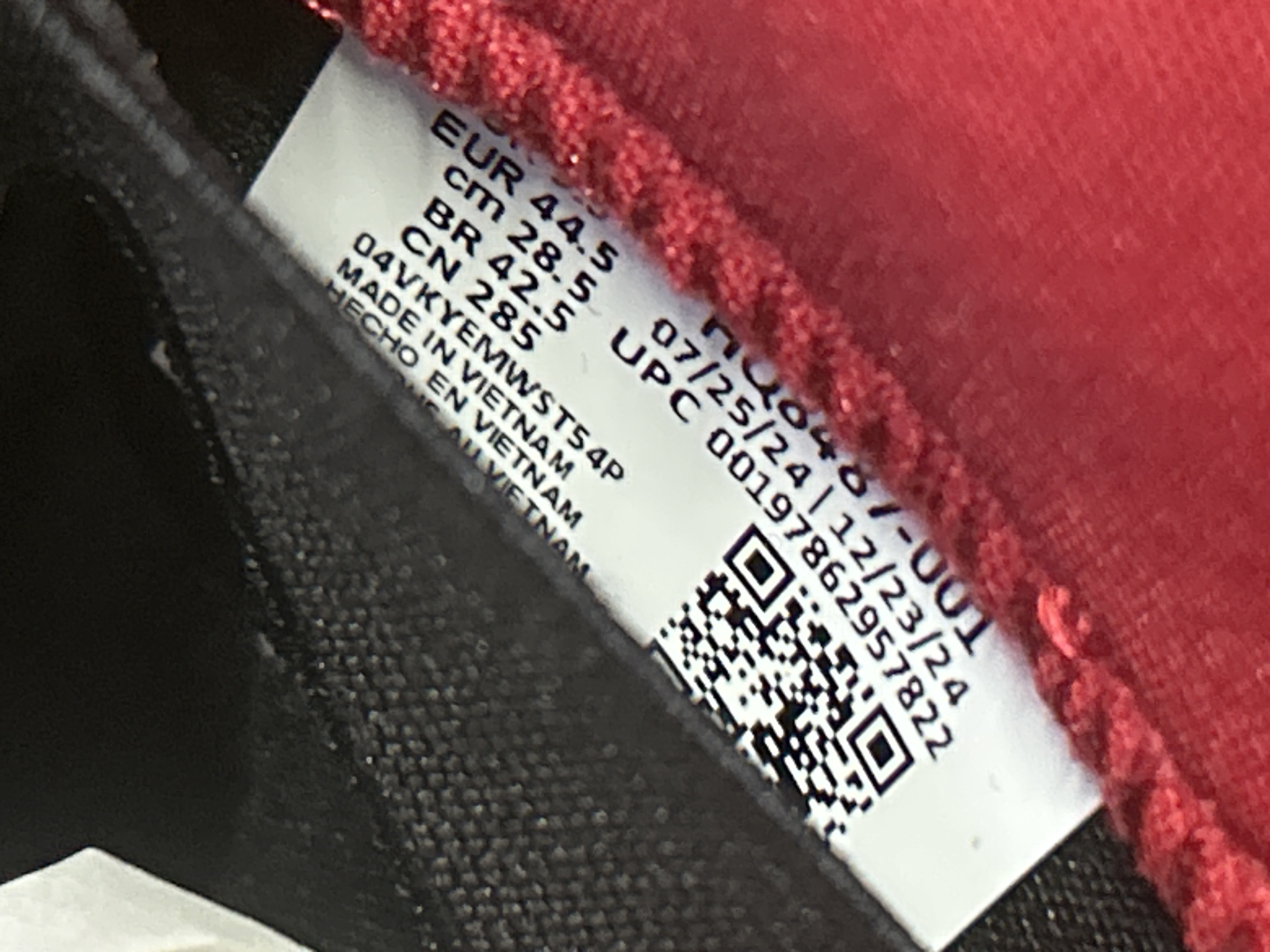 QC Photo - Nike SB Dunk Low Grateful Dead Bears Green