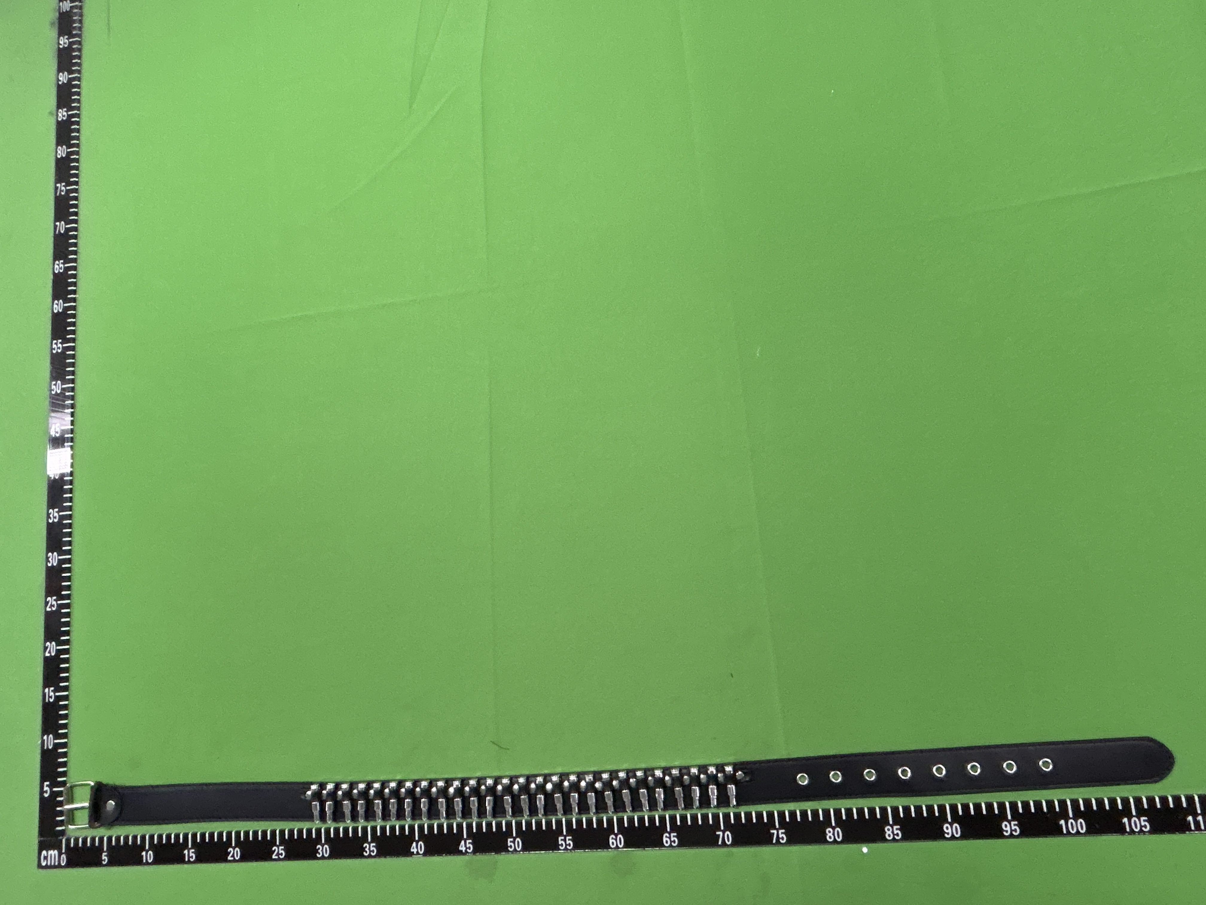 QC Photo - Bullet Belt