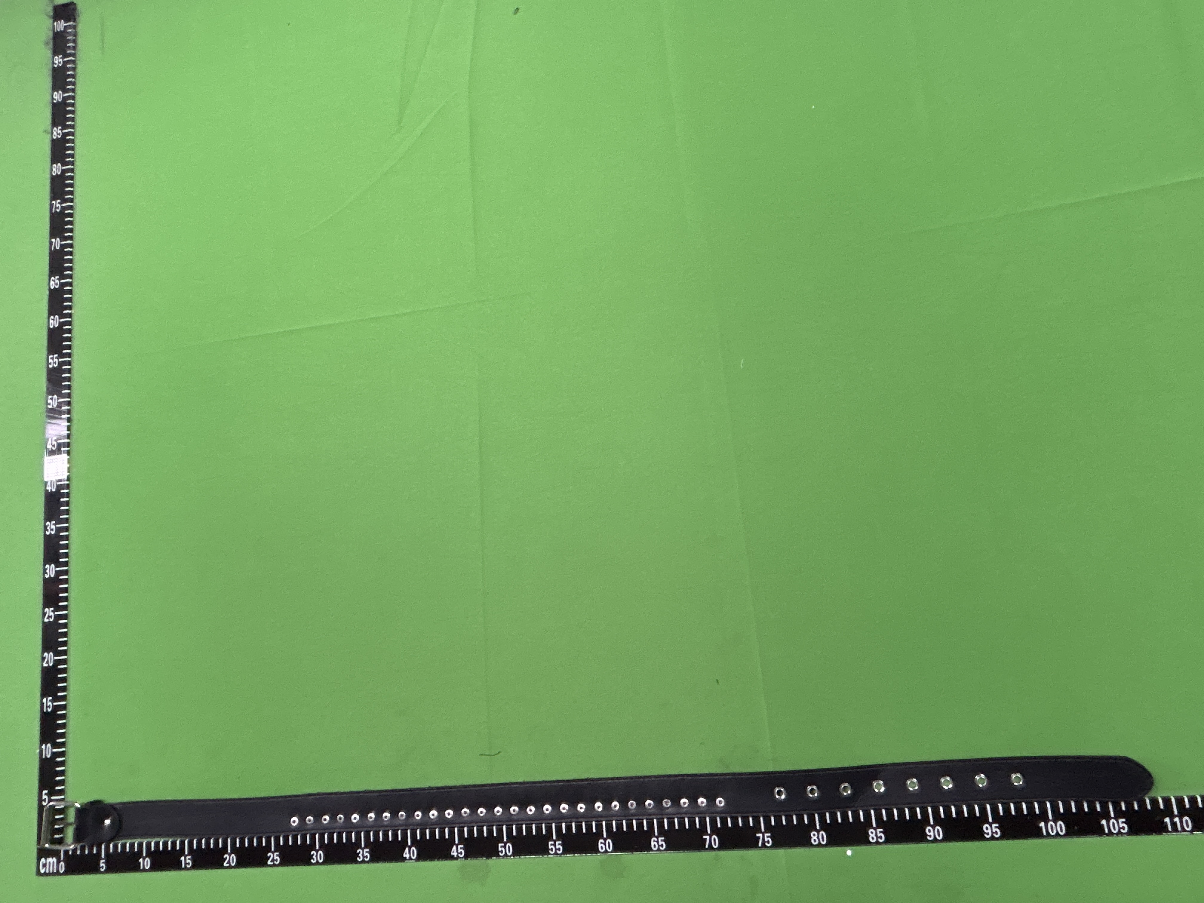 QC Photo - Bullet Belt