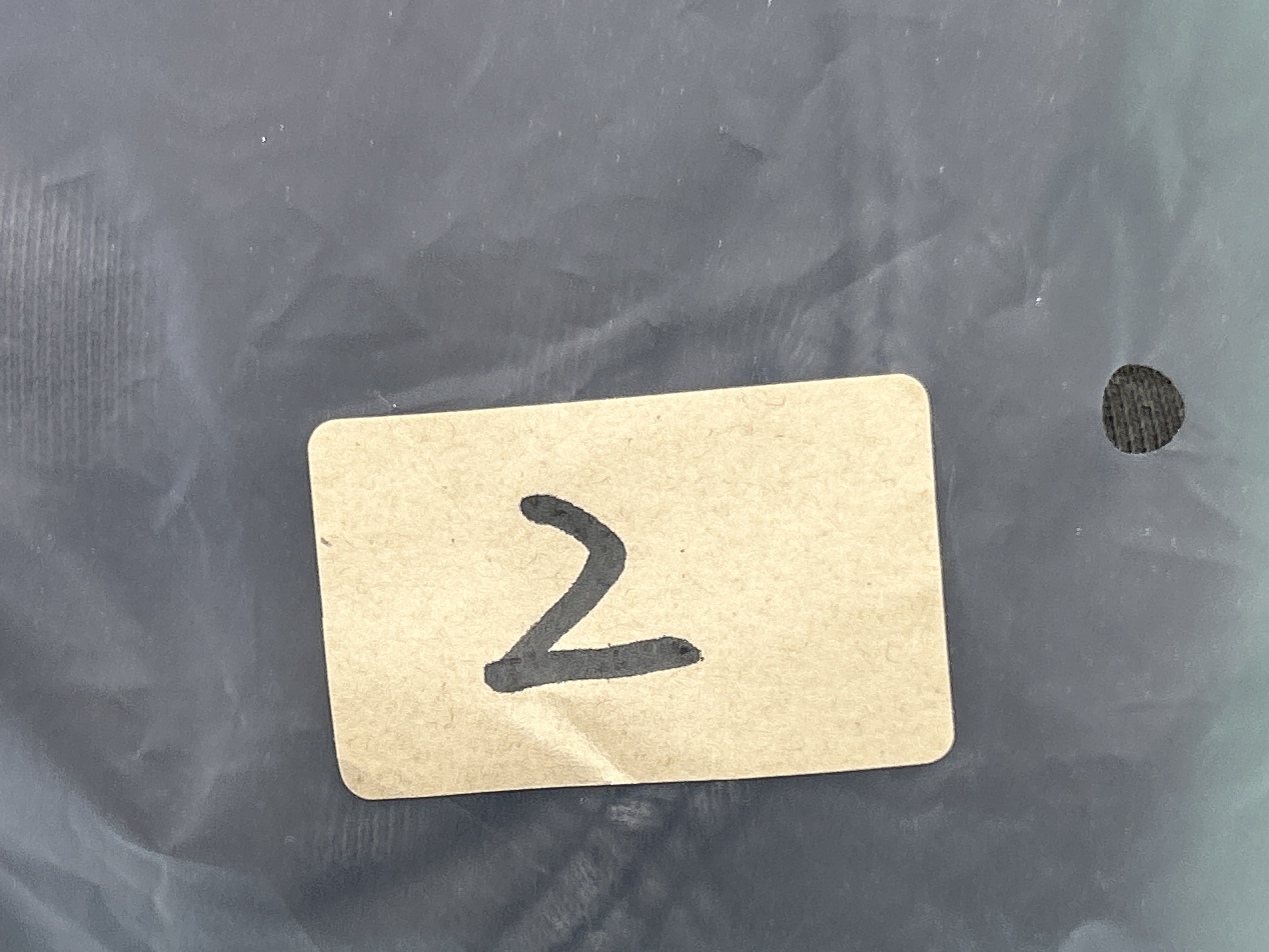 QC Photo - Number Nine Skull Sweatpants