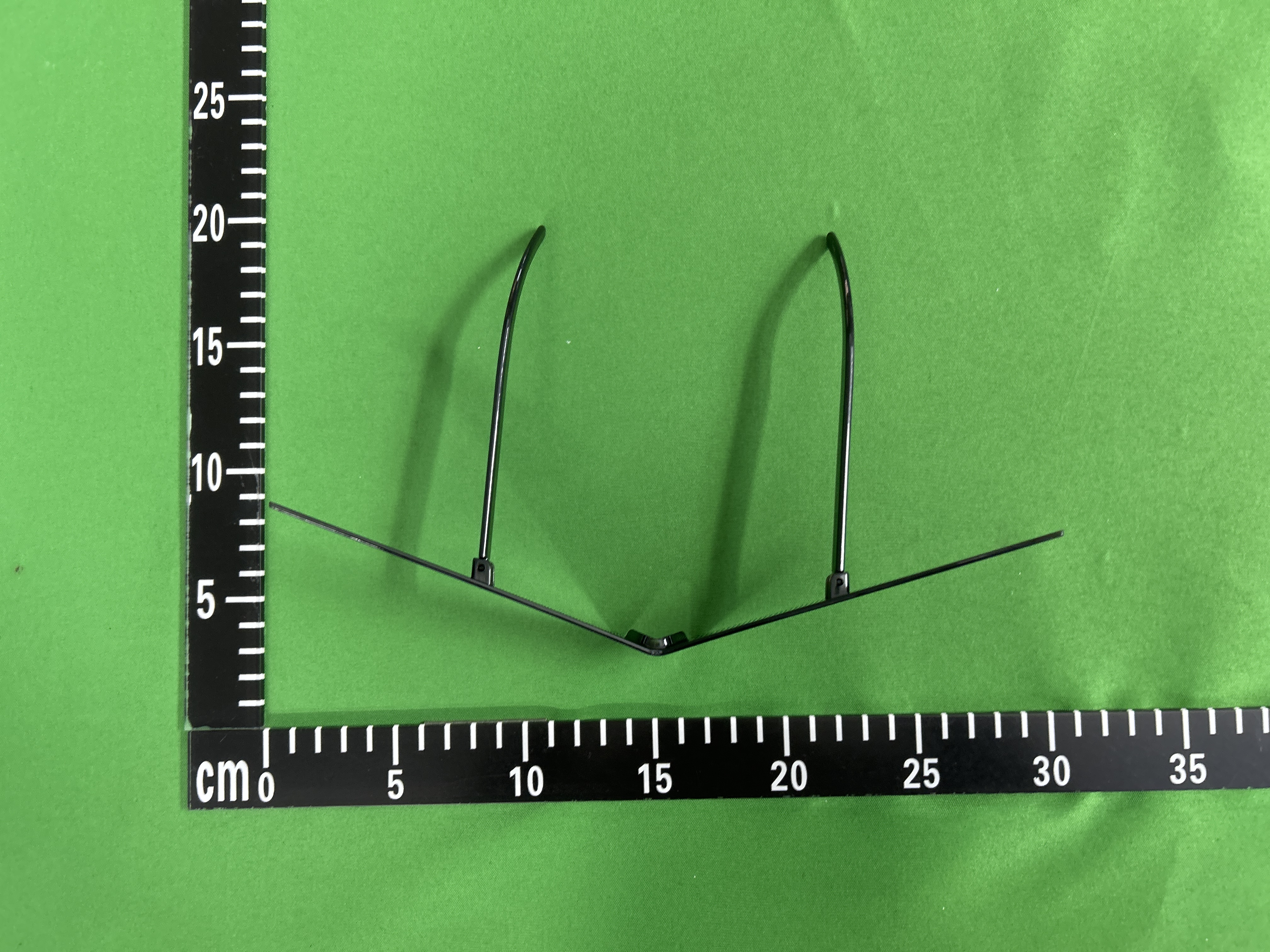 QC Photo - Squirtle Sunglasses