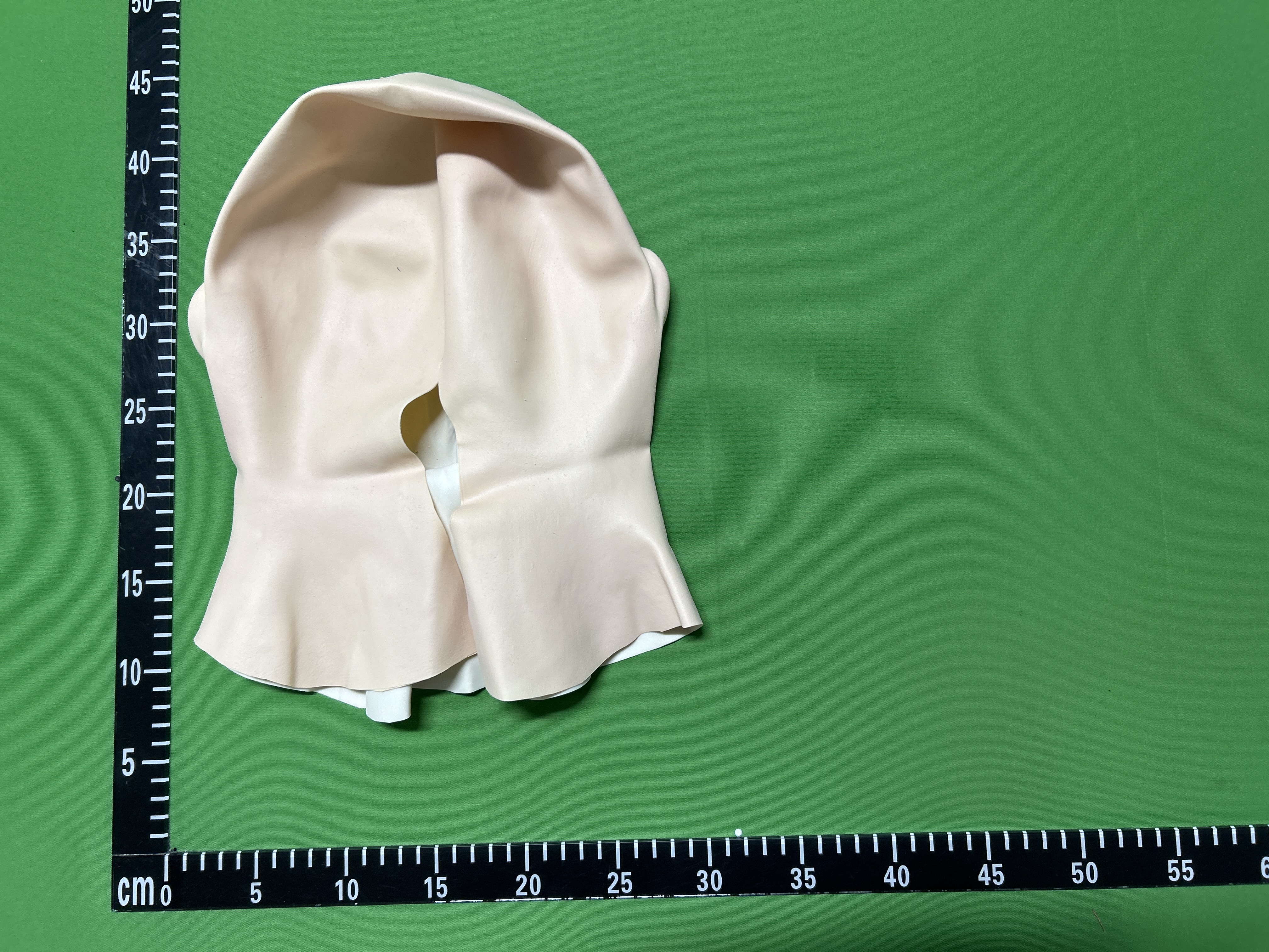 QC Photo - Walter White Mask
