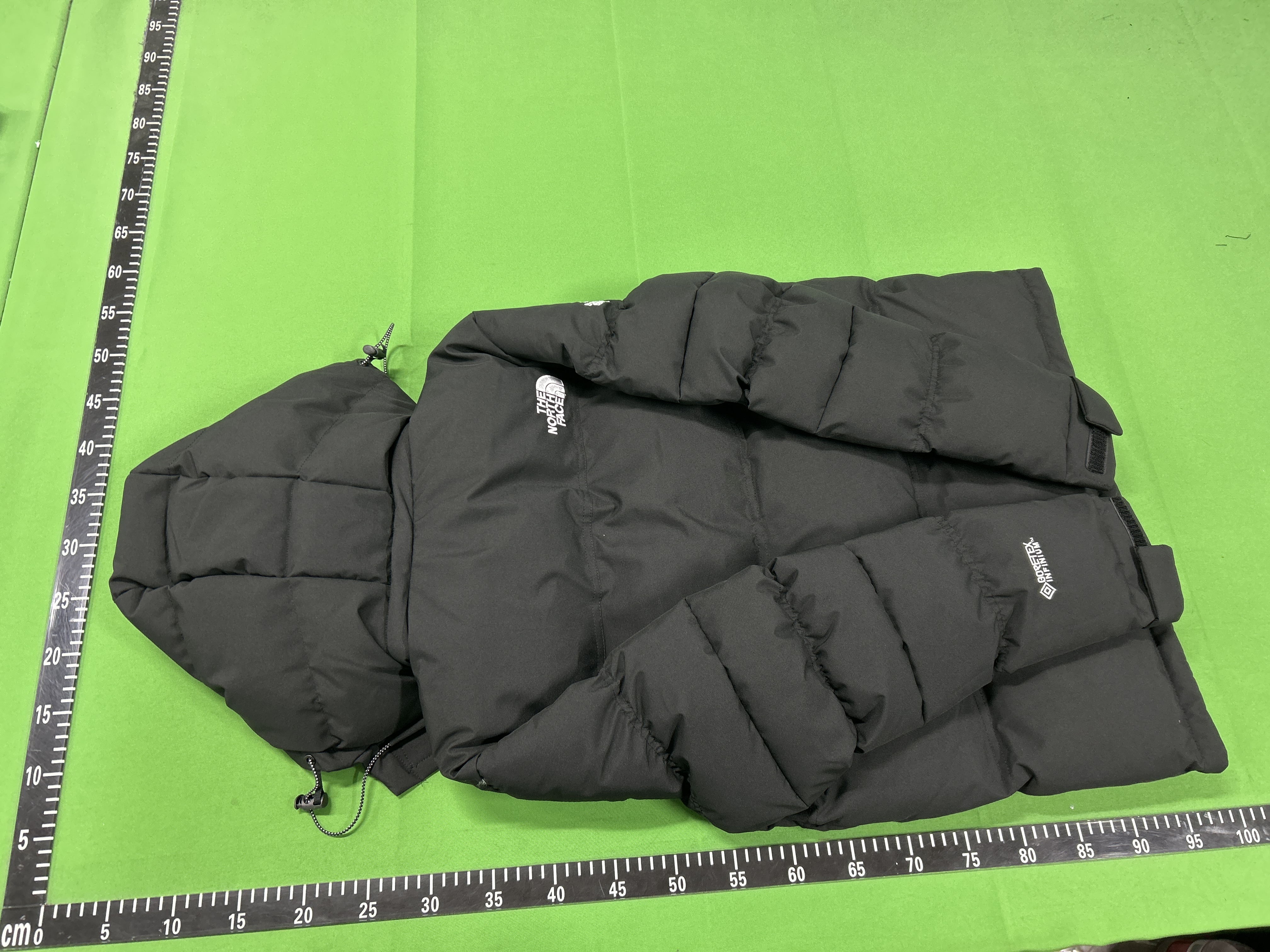QC Photo - North Face Gore-Tex Puffer Down Jacket (3 Variants)