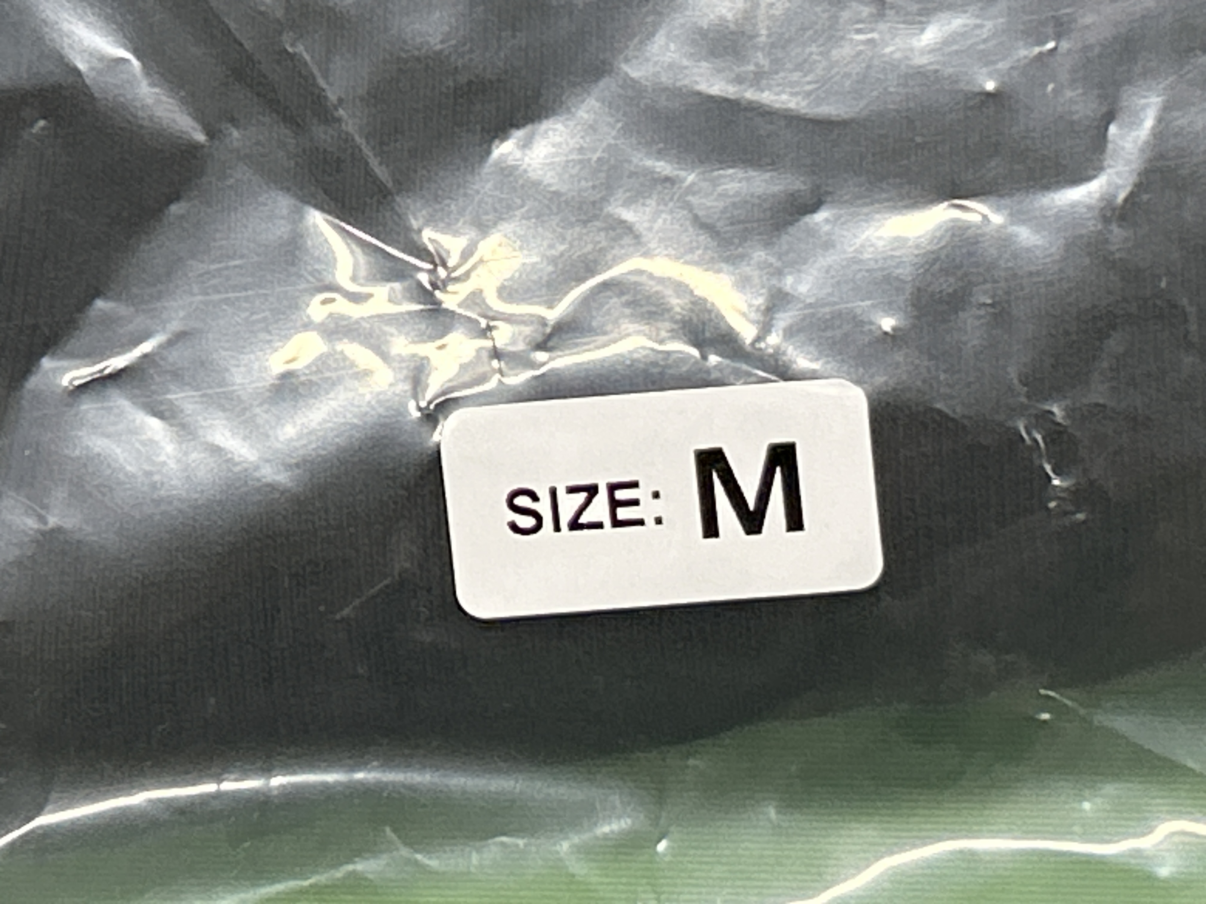 QC Photo - Balenciaga Sports Logo Shorts