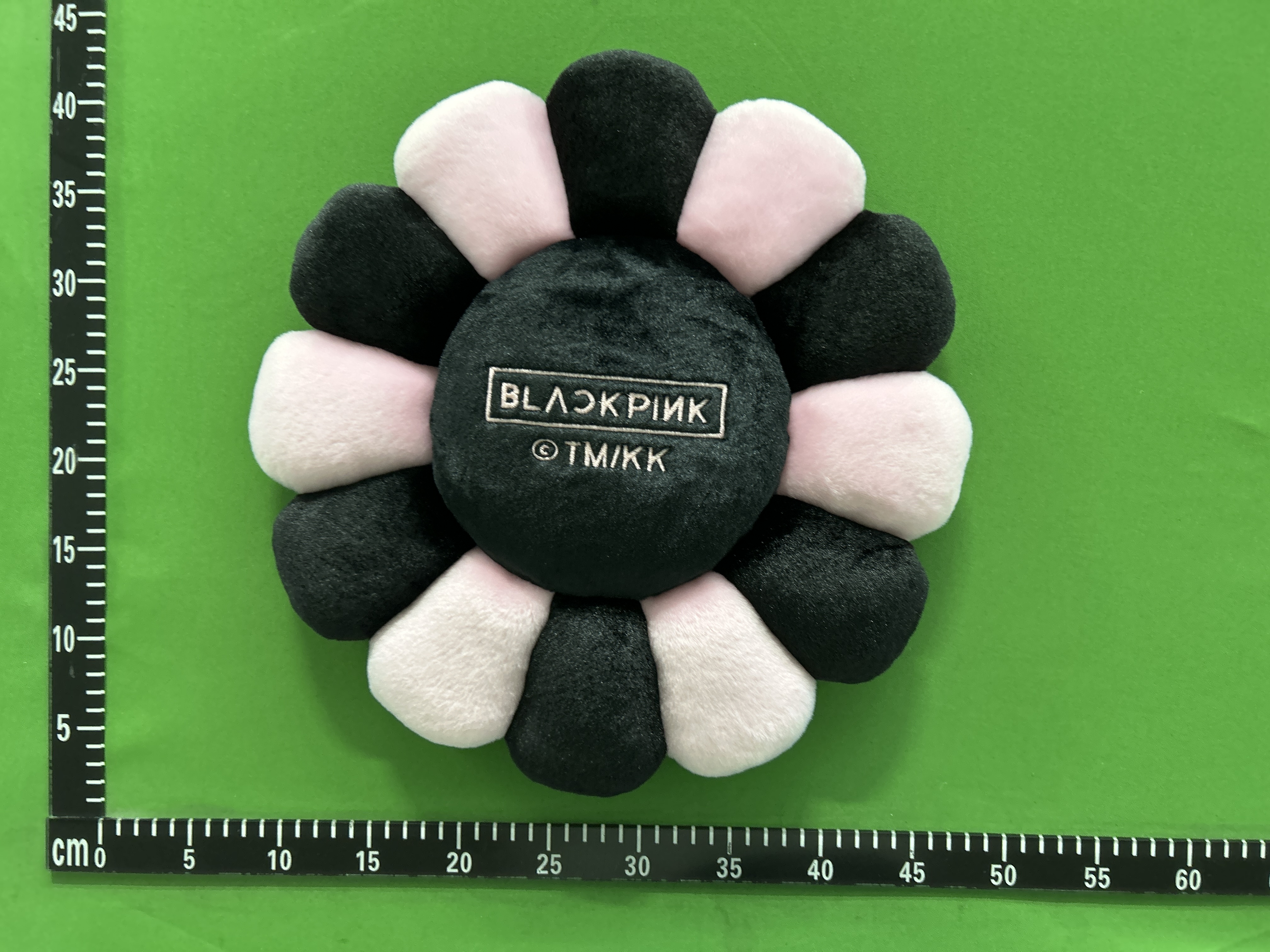 QC Photo 4